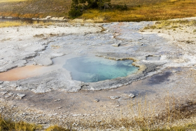 Old Faithful Geyser Area Yellowstone 2024